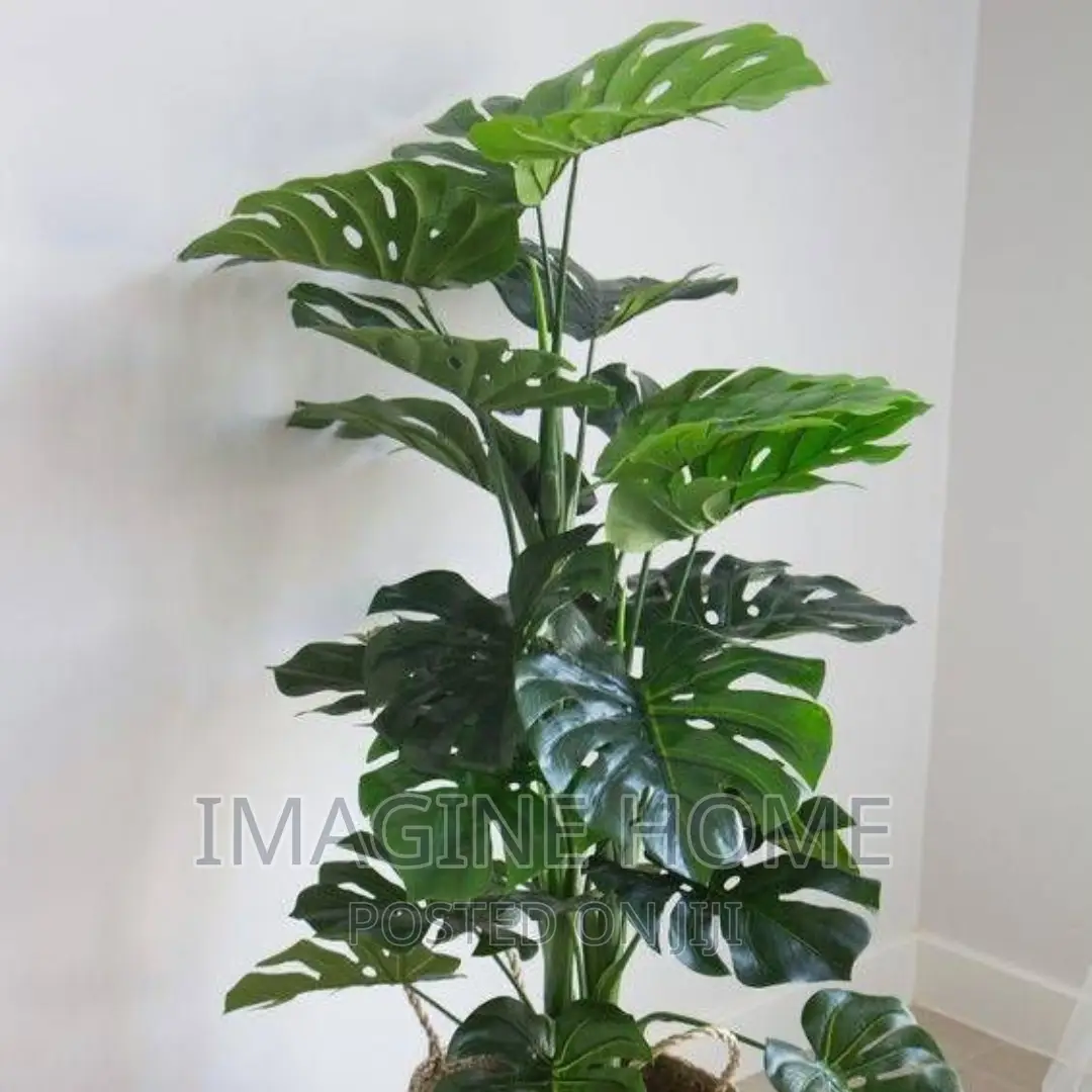 Artificial Plants in Nairobi Central Garden Supplies, Imagine Home