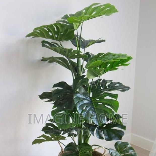 Artificial Plants