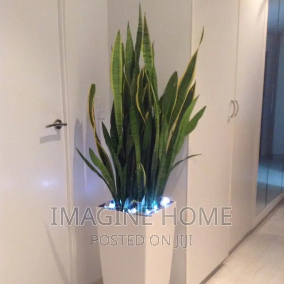 Artificial Plants