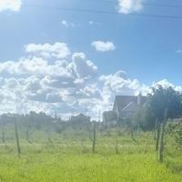 Susan Kinyanjui logo