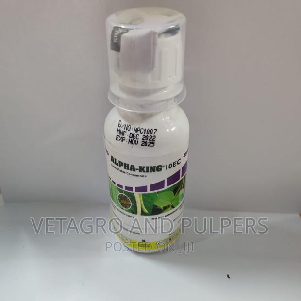 Alphaking10ec - main view