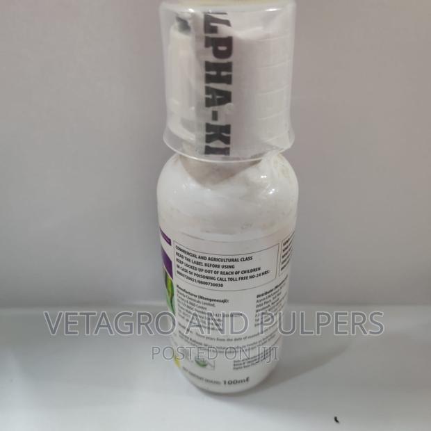 Alphaking10ec - thumbnail 3