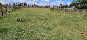 1⁄8 Plot For Sale In Royalton Eldoret
