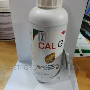 Cal G ( a Gluconolactate Molecule)