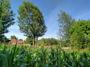 Half Acre Plot in Ngong Behind ACK Church