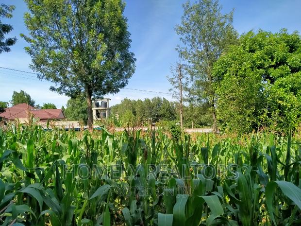 Half Acre Plot in Ngong Behind ACK Church - thumbnail 3