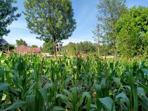 Half Acre Plot in Ngong Behind ACK Church - thumbnail 6