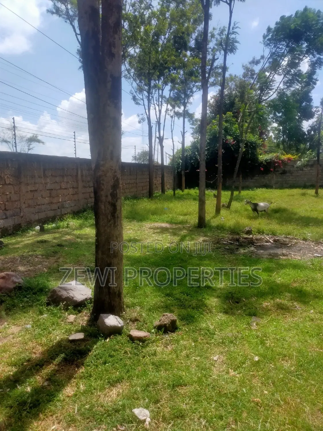 1/4 Acre Plot's Karen, Kerarapon .