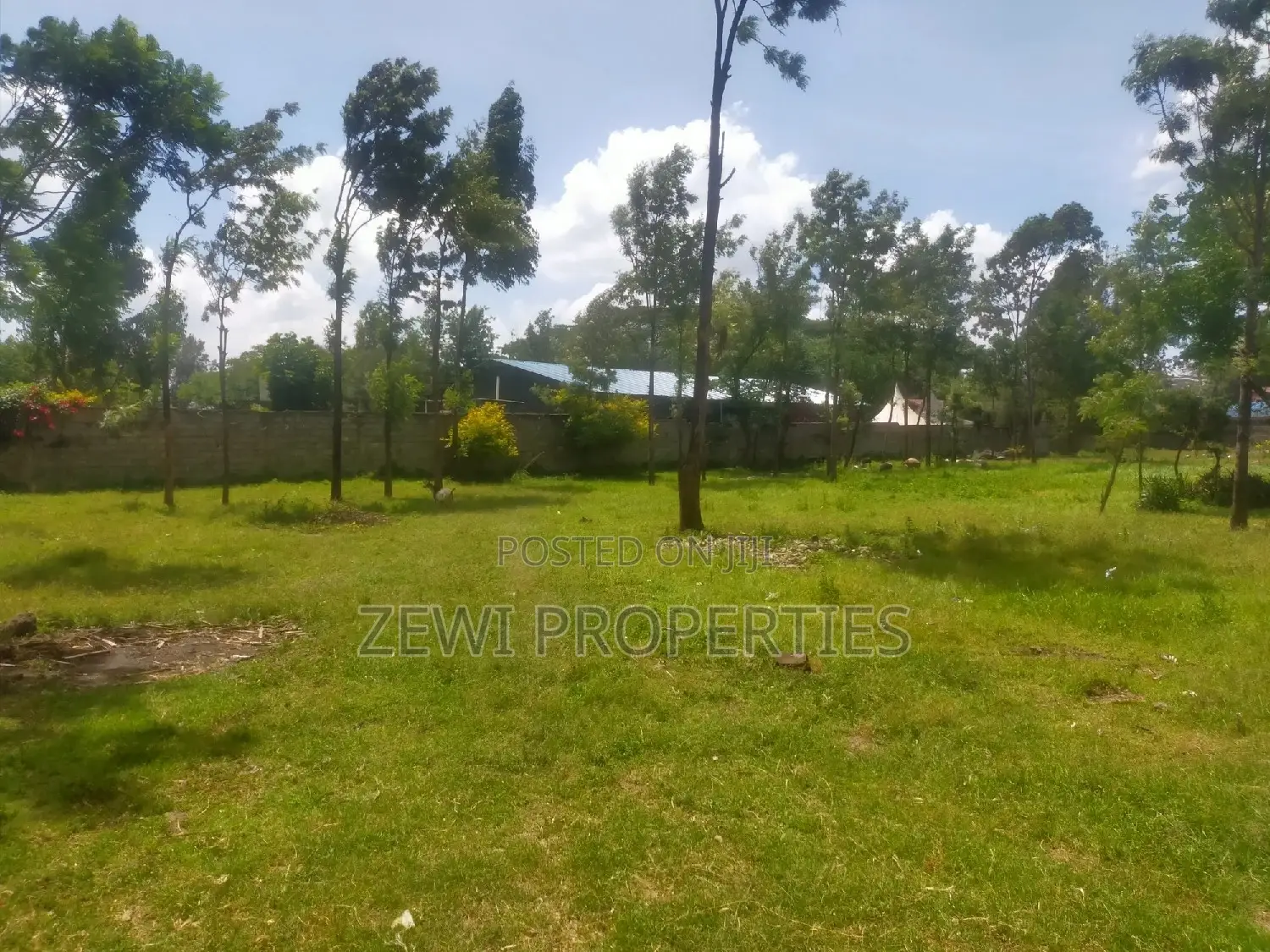 1/4 Acre Plot's Karen, Kerarapon .