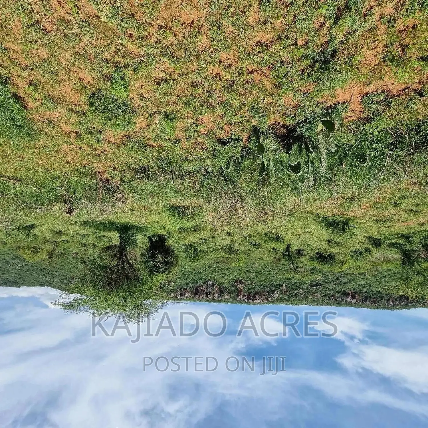 2.5 Acres Olkudate at 5.5m