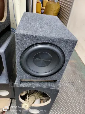 Pioneer A250S4 10inches 1300watts .