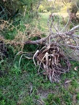 Mua Kamuthanga Machakos - thumbnail 2