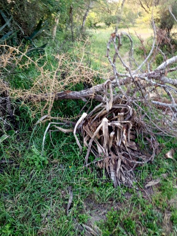 Mua Kamuthanga Machakos - main view