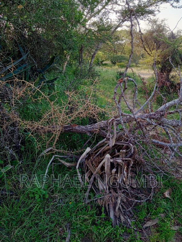 Mua Kamuthanga Machakos - thumbnail 3