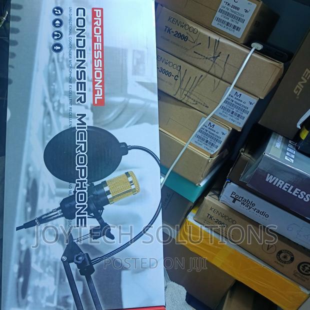 Professional Condenser Microphone - main view