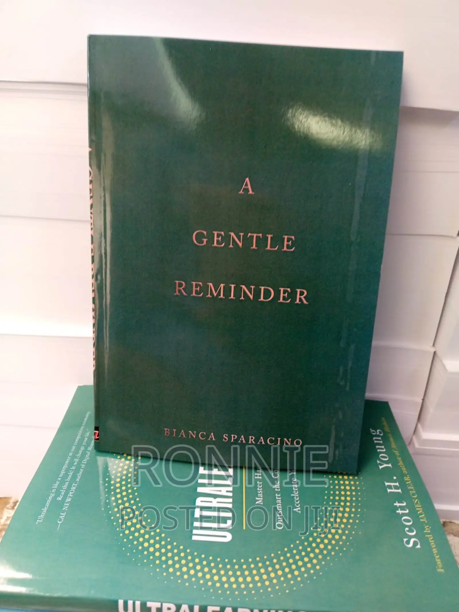A Gentle Reminder Book by Bianca Sparacino