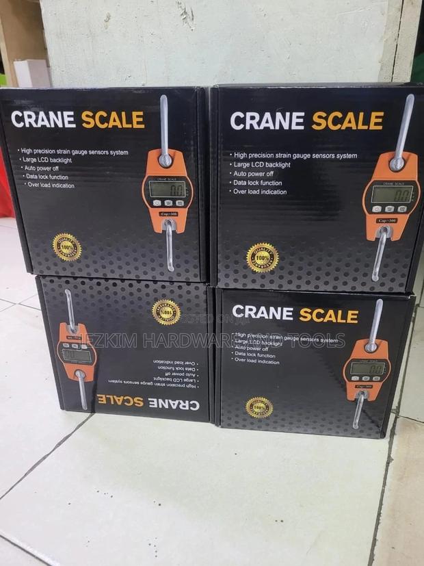 300kgs Crane Scale - main view