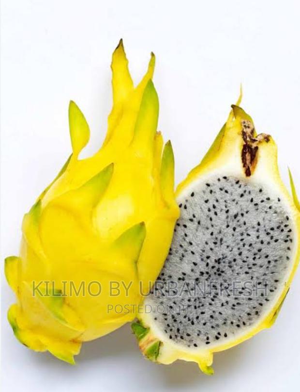 Yellow Skinned Dragon Fruit Suckers - main view