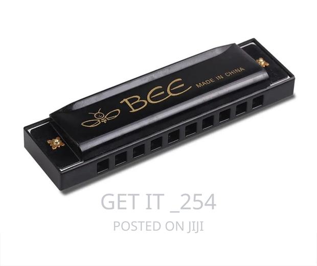 Metallic 24 Holes Harmonica