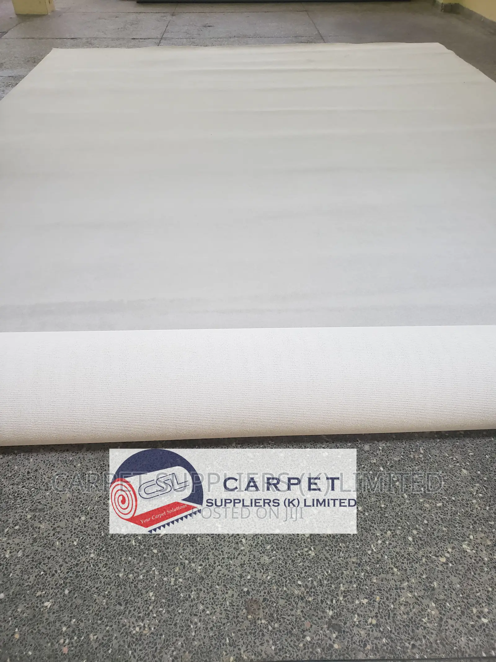 White Wall to Wall Carpet