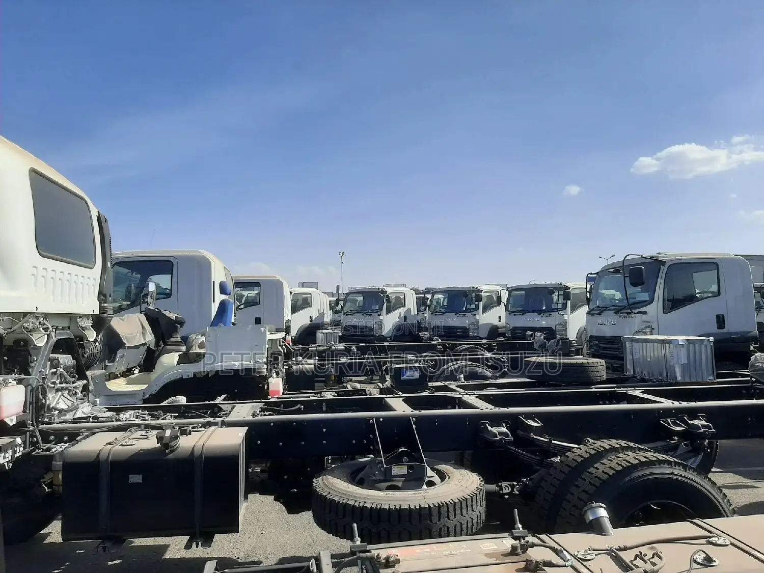 Isuzu FVZ 2024 Blue Power