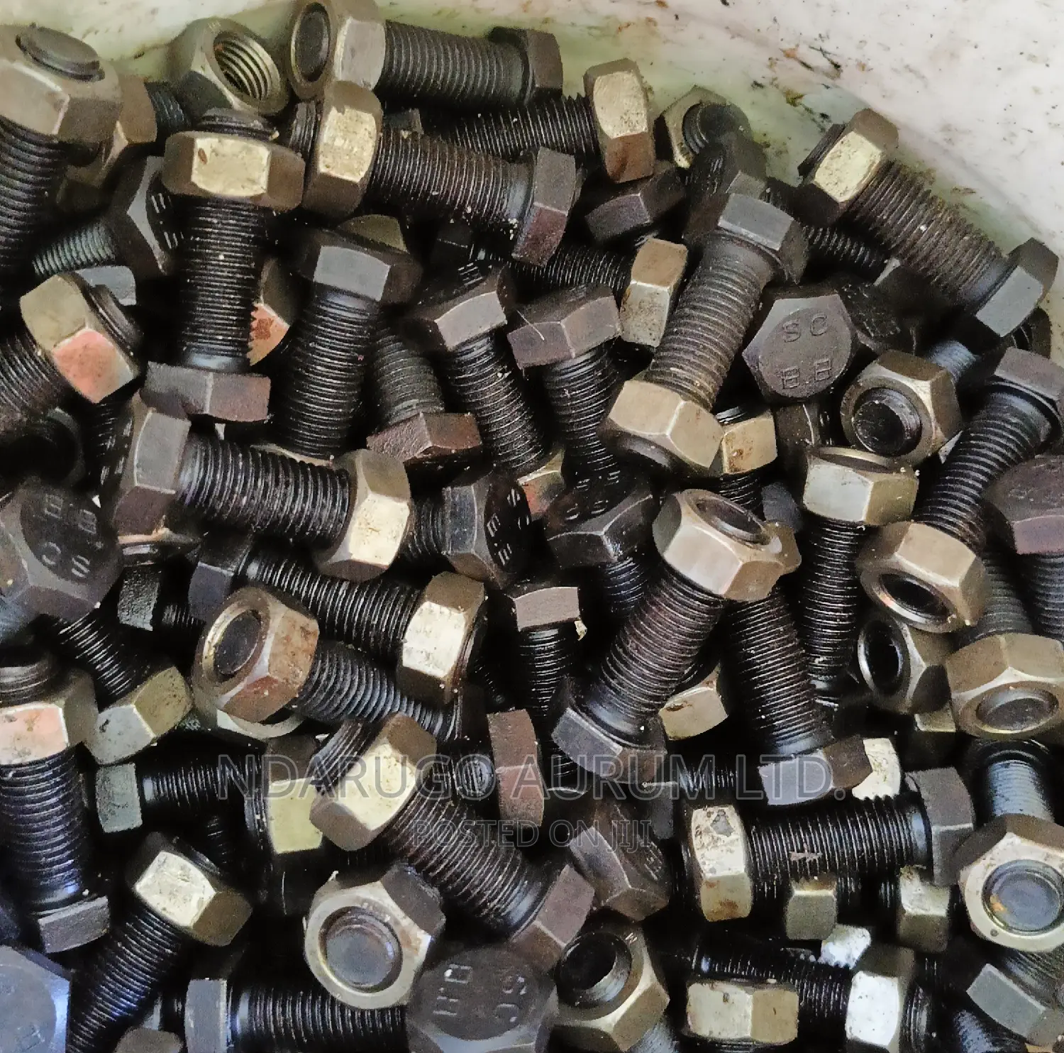 Bolt 24mm 2 Inch