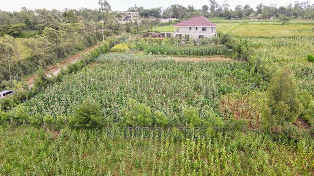 1/4 Acre Kibiku at 6m - thumbnail 2