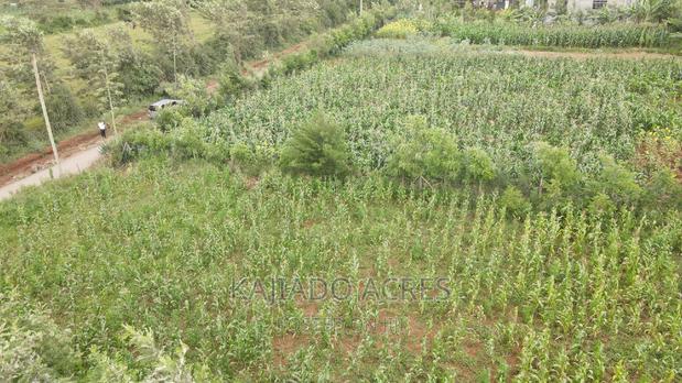 1/4 Acre Kibiku at 6m - thumbnail 4