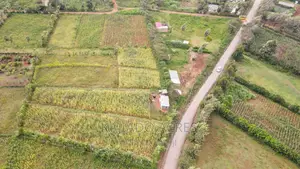 1/4 Acre Kibiku at 6m