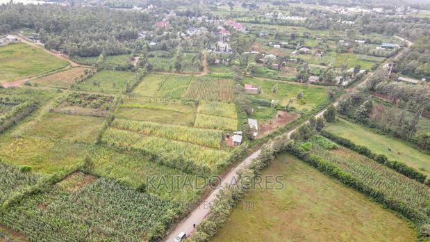 1/4 Acre Kibiku at 6m - thumbnail 8