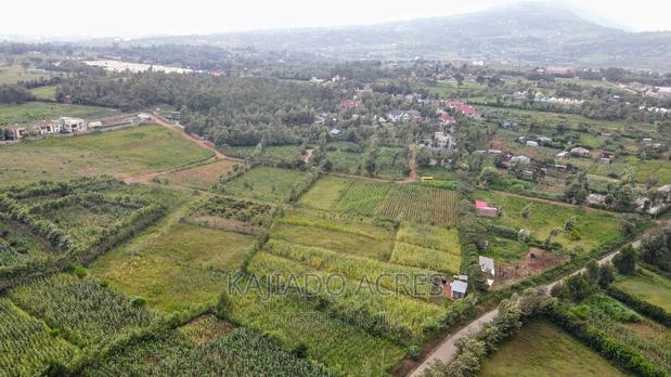 1/4 Acre Kibiku at 6m - thumbnail 9