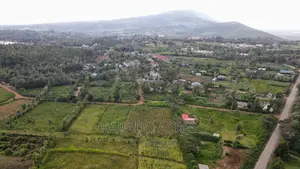 1/4 Acre Kibiku at 6m