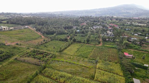 1/4 Acre Kibiku at 6m - thumbnail 11