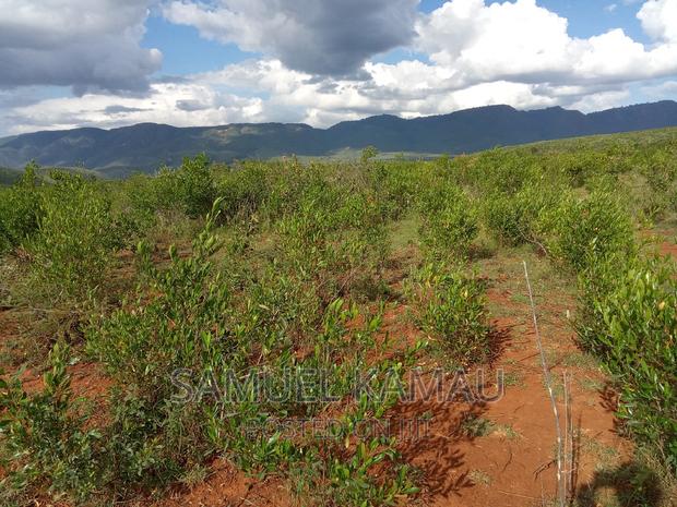 Solai 9acres Parcel for Sale - thumbnail 4