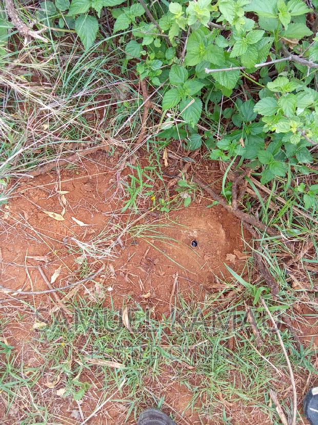 Solai 9acres Parcel for Sale - thumbnail 9