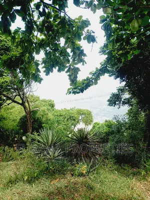 For Sale Quater Acres Plots Kikambala.