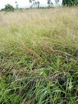 Two (2) Prime Acres at Thaitha Kimutwa Muumandu