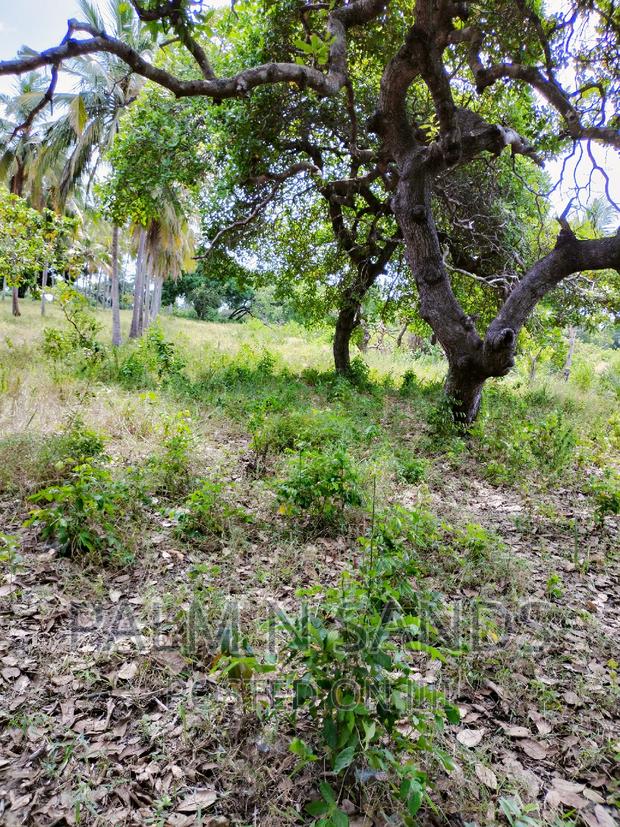 Mvindeni 12 Acre Property on Sale
