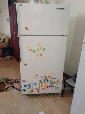 Fridge Repair Fundi Technician Repair