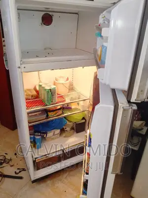Fridge Repair Fundi Technician Repair