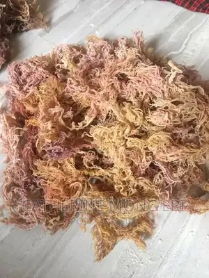 1 Kg Sea Moss