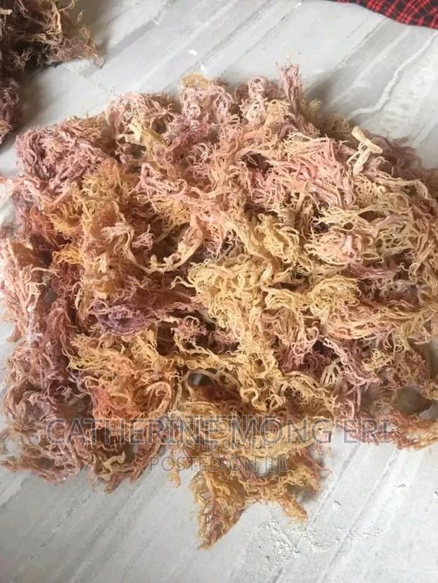 1 Kg Sea Moss - main view