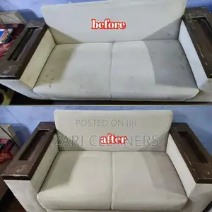 Best Carpet and Sofa Cleaners Near You