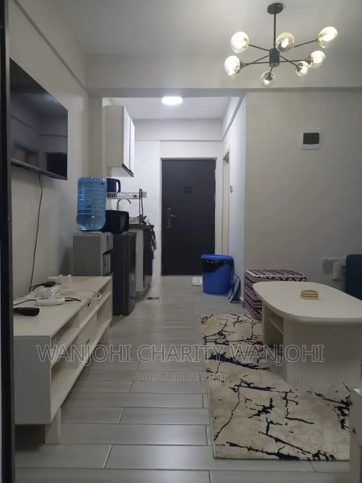 Studio Apartment Airbnb South B