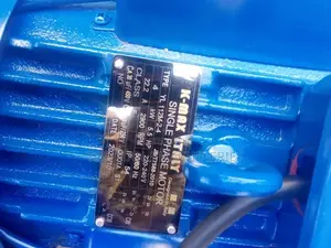 Kmax Italy 5.5hp Motor