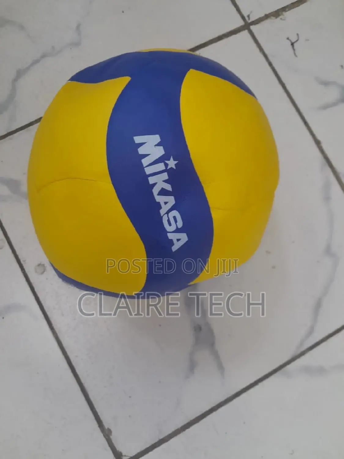 Mikasa Volleyball 