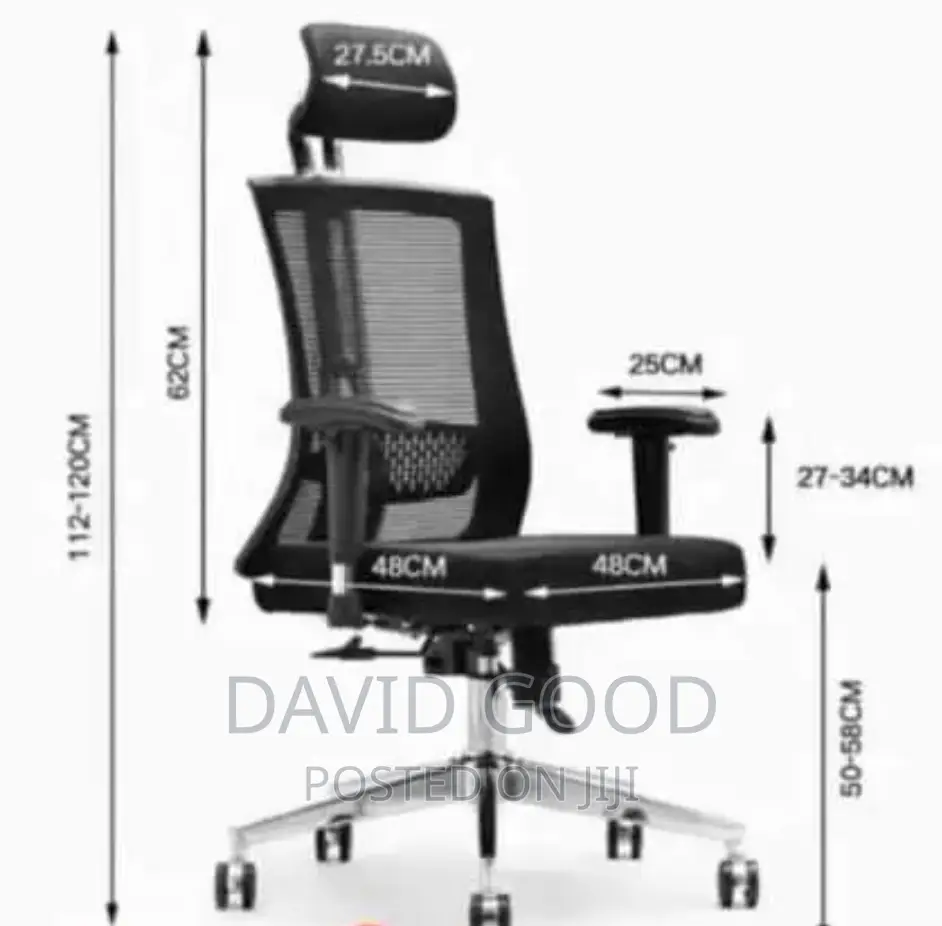 Othropedic Office Chair