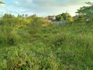 Half Acre Plot in Kandisi 200 Meters From the Tarmac - thumbnail 2
