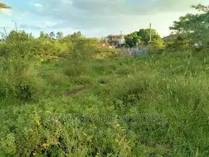 Half Acre Plot in Kandisi 200 Meters From the Tarmac