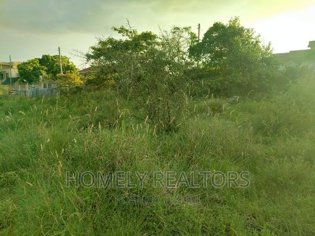 Half Acre Plot in Kandisi 200 Meters From the Tarmac - thumbnail 3